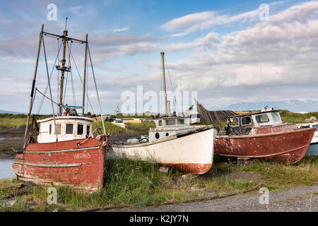 Vieux bateaux en bois abandonnés pourrissant siéger parmi les fleurs sauvages le long de la Baie d'Homer Spit sur Kamishak à Homer, Alaska. Banque D'Images