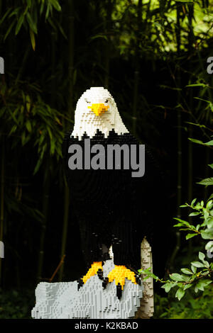 Le zoo de Planckendael, Mechelen, Belgique - 17 août 2017 : Lion construit à partir de briques lego à l'exposition 'nature' connecte par Sean Kenney (seankenney.com) Banque D'Images