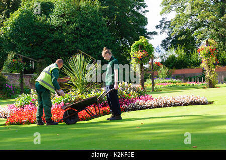 Glasgow, Ecosse, Royaume-Uni. Août 31, 2017. Météo britannique. Jardiniers travaillant dans les jardins de Bellahouston Park sur un après-midi chaud et ensoleillé. Credit : Skully/Alamy Live News Banque D'Images