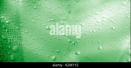 Gros plan des gouttes de pluie et de lumière. Banque D'Images