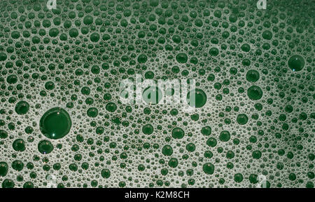 Des bulles et de la mousse verte, la texture et le motif, fait à partir de produits ménagers, macro closeup Banque D'Images