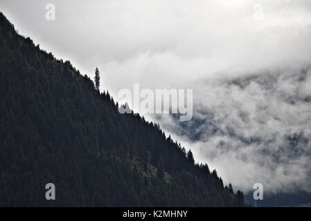 Pentes boisées de la crête de la montagne dans les Alpes autrichiennes, silhouetté contre la brume et les nuages avec un gros pin en saillie Banque D'Images