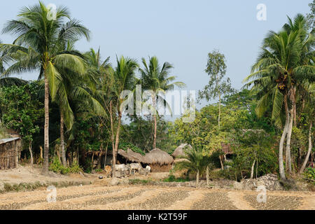 Maisons traditionnelles de l'argile sur la zone Parc national des Sundarbans dans le plus grand delta du Gange en Inde, Bengale occidental Banque D'Images