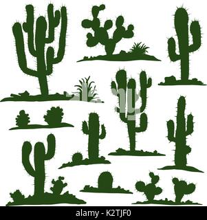 Ensemble de cactus vert Illustration de Vecteur