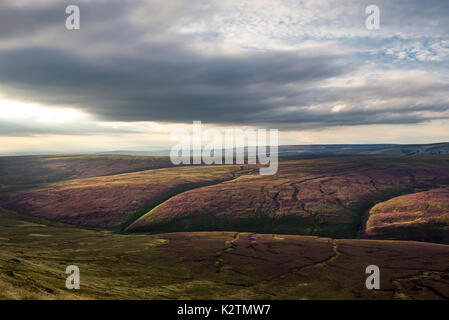 Belle soirée d'été sur le bord nord de Kinder scout dans le Peak District, Derbyshire, Angleterre. Banque D'Images