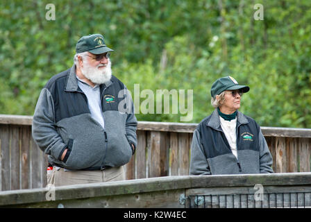 Volunteer rangers à Fish Creek, site d'observation de la faune, la Forêt Nationale Tongass Hyder, Alaska, USA Banque D'Images