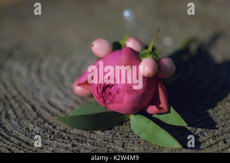 Un petit bouquet de pivoine rose boutonnière pour le marié et utilisé pour les invités du mariage placé sur un timbre, en lumière naturelle. Banque D'Images