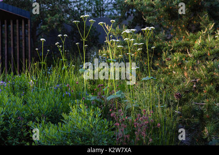 Banque royale du Canada, le jardin designer Charlotte médaille d'Harris. Banque D'Images
