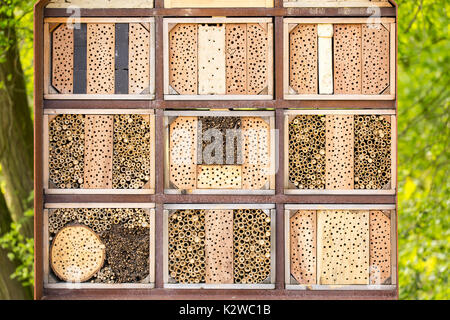 Hôtel d'insectes par l'homme dans une forêt verte. Une structure créée à partir de matériaux naturels destiné à fournir un abri et de conservation pour les insectes. Banque D'Images