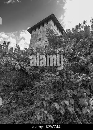 Avis de Lubart Château ou Kiev haut château - Ukraine Banque D'Images