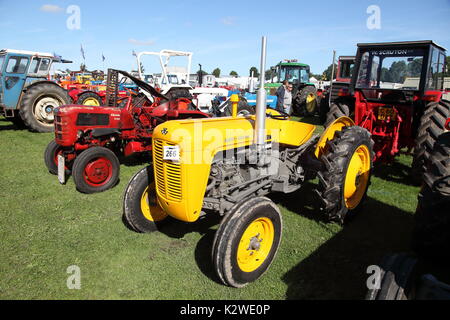 Tracteurs Banque D'Images