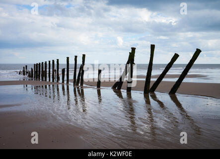 Le reste des défenses maritimes en bois sur la plage à rejeter Point dans le Yorkshire. Banque D'Images