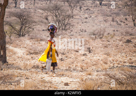 Samburu Masaï, vêtu de vêtements Masai traditionnelle, marcher jusqu'à son village avec des dispositions en bottes qu'elle porte à la main ou sur la tête. Banque D'Images