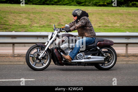 Un classique v-rod Harley Davidson moto voyageant le long de la route à l'ouest de Kingsway à Dundee, Royaume-Uni Banque D'Images