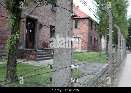 Rangées de clôtures de barbelés électrifiés au camp de concentration nazi d'Auschwitz, près de la ville de Łódź, Pologne, le 25 août 2017. Banque D'Images