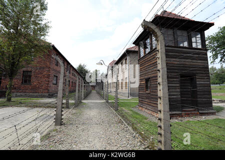 Rangées de barbelés à l'escrime de camp de concentration Nazi Auschwitz, près de la ville de Łódź, Pologne, le 25 août 2017. Banque D'Images