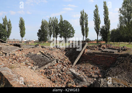 Les ruines de l'un des crématoires au camp de concentration nazi d'Auschwitz Birkenau, près de la ville de Łódź, Pologne, photographié sur un 25 Banque D'Images