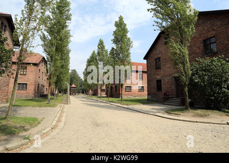 Bâtiments dans le camp de concentration nazi d'Auschwitz, près de la ville de Łódź, Pologne, photographié le 25 août 2017. Banque D'Images