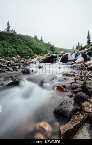 C'est la photo de Myrtle Falls Creeks à Mount Rainier National Park quand il fait du brouillard. Banque D'Images