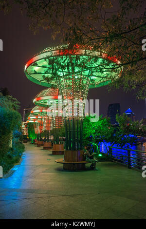 Les champignons lumineux à LED, Hangzhou wulin square, nuit, destination de voyage Banque D'Images