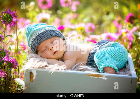 Mignon bébé nouveau-né garçon, dormir paisiblement dans le panier dans le jardin de fleurs Banque D'Images