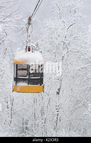 Un câble panier au-dessus de la forêt d'hiver Banque D'Images