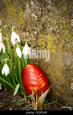 Belle couleur rouge oeufs de Pâques dans le jardin Banque D'Images