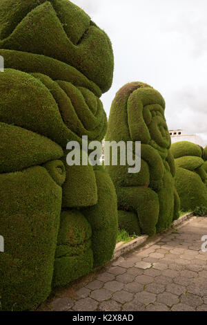 Topiaire cyprès evergreen dans le cimetière Équateur Tulcan une destination touristique populaire Banque D'Images