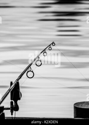 Seule la canne à pêche qui s'étend sur un lac Banque D'Images