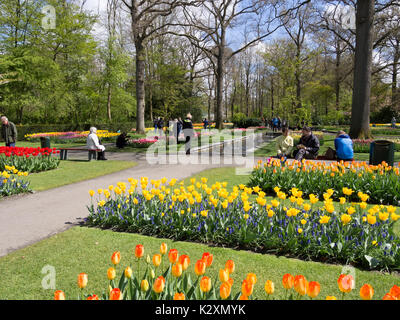 Tulipes et bulbes de printemps dans les jardins de Keukenhof, plantations à Holland Banque D'Images