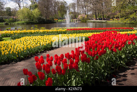 Tulipes rouges et jaunes sur les rives de la rivière à jardins de Keukenhof, Pays-Bas Banque D'Images