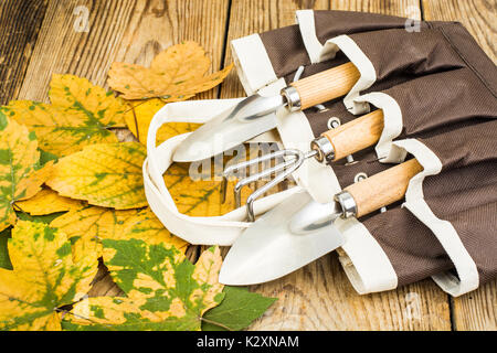 Outils de jardin de souvenirs. Studio Photo Banque D'Images