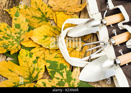 Outils de jardin de souvenirs. Studio Photo Banque D'Images