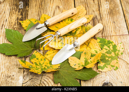 Outils de jardin de souvenirs. Studio Photo Banque D'Images