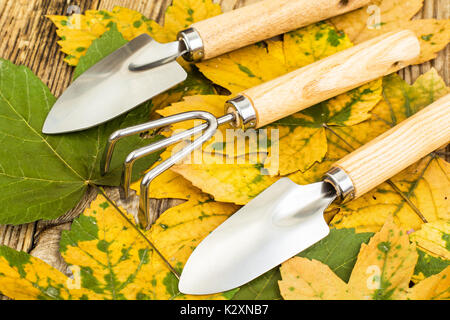 Outils de jardin de souvenirs. Studio Photo Banque D'Images