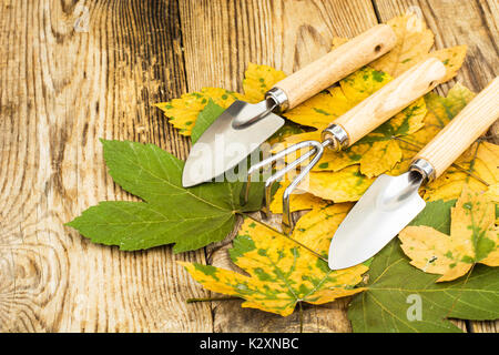 Outils de jardin de souvenirs. Studio Photo Banque D'Images