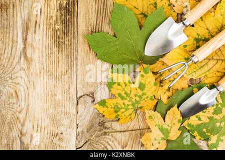 Outils de jardin de souvenirs. Studio Photo Banque D'Images