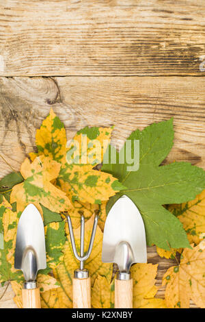 Outils de jardin de souvenirs. Studio Photo Banque D'Images