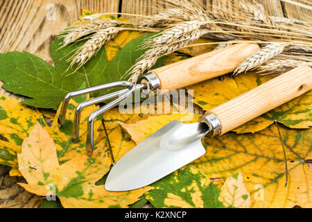 Outils de jardin de souvenirs. Studio Photo Banque D'Images