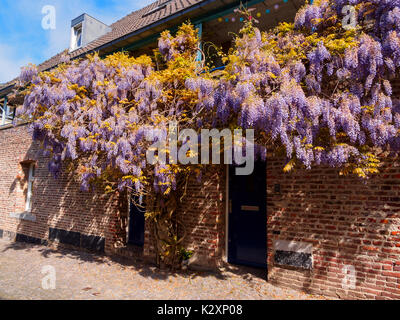 Plus de glycine une porte dans la vieille ville de Maastricht, Pays-Bas Banque D'Images