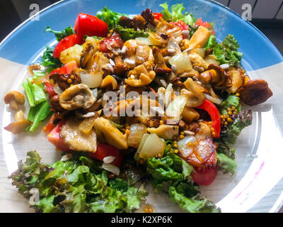 Salade de champignons des bois, les tomates et la laitue Studio Photo Banque D'Images