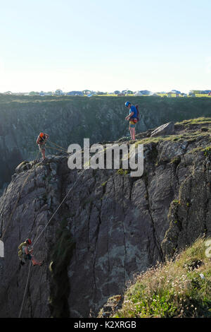 Vue verticale des grimpeurs grimpant sur les rochers de la côte de Pembrokeshire, près du port de Porthclais, St Davids, dans l'ouest du Pays de Galles Grande-Bretagne KATHY DEWITT Banque D'Images