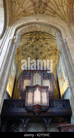 Dans l'abbaye de Sherborne, Dorset, England, UK Banque D'Images