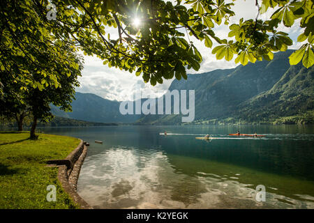 Lac de Bohinj avec des canoës sur la surface de l'eau dans l'après-midi d'été. Banque D'Images