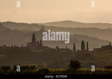 Goriska Brda est une grande région viticole de l'ouest de la Slovénie, près de la frontière avec l'Italie. Ils sont connus sous le nom de Toscane slovène et de vin appelé Rebula. Banque D'Images