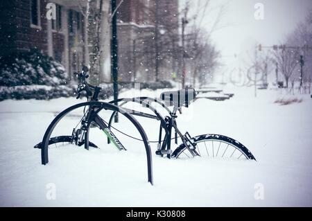 Un vélo verrouillé sur un rack sur la rue Charles est couvert de trois pieds de neige, en face de l'Université Johns Hopkins, Baltimore, Maryland, 2016. Banque D'Images