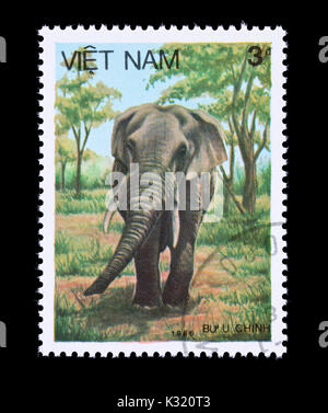 Timbre-poste du Vietnam représentant un éléphant d'Asie (Elephas maximus). Banque D'Images