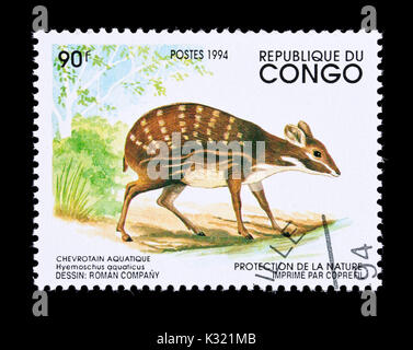 Timbre-poste de Congo représentant un chevrotain ou de l'eau (Hyemoschus aquaticus fanged deer) Banque D'Images