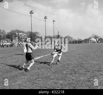 Sépia photographie d'action au cours d'un match de crosse pour hommes à l'Université Johns Hopkins, avec co-JHU légende Byron Forbush nombre 47 prépare à passer le ballon à un coéquipier pendant qu'un joueur adverse garde son coup avec son bâton, un comité permanent de l'arbitre a proximité, Baltimore, Maryland, juin, 1951. Banque D'Images