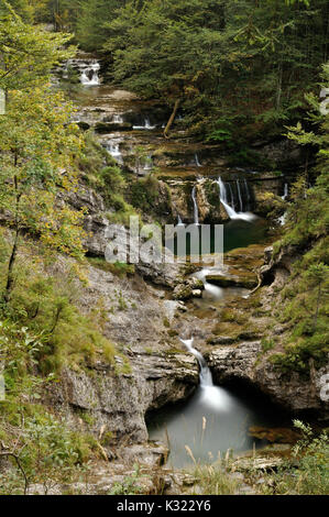 Beautiful mountain creek Fischbach dans les Alpes bavaroises entre Ruhpolding et Heutal, Autriche Banque D'Images